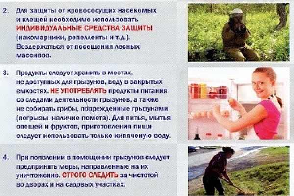 Месячник профилактики краевой патологии проходит на Окружной станции переливания крови в марте