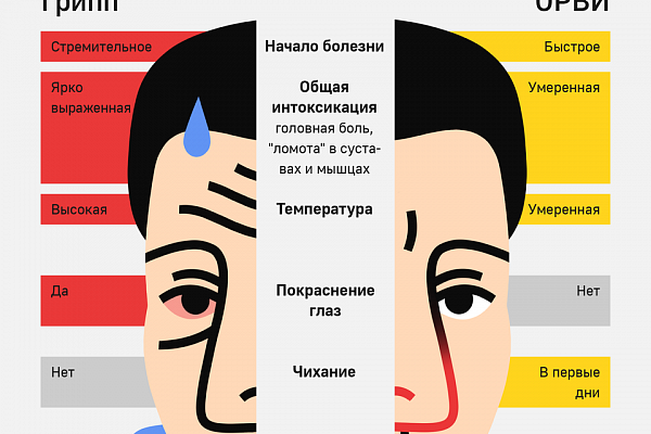 Что такое грипп и какова его опасность?