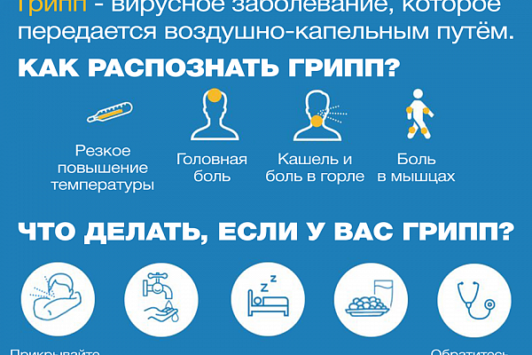 Что такое грипп и какова его опасность?