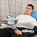 Код донора: сила в единстве